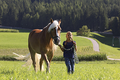 Familienurlaub am Bauernhof Mairing