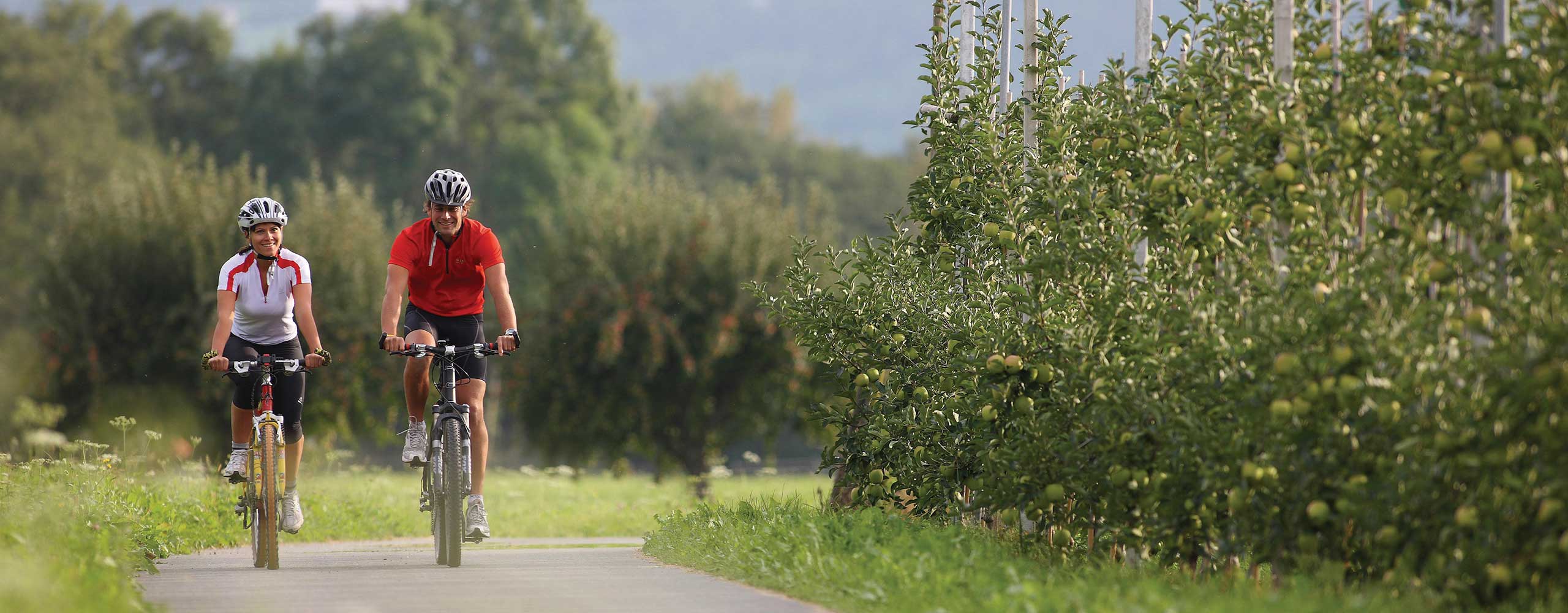 Radfahren im Vinschgau